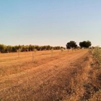 Skygreen azienda